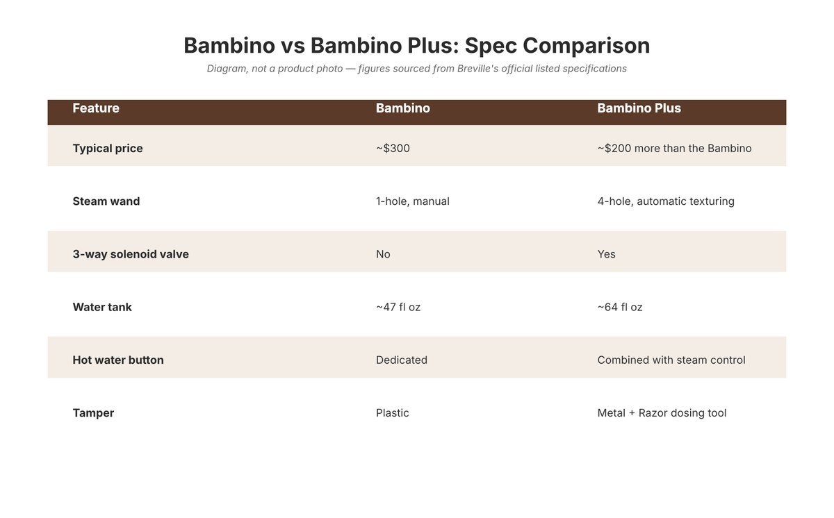 Bambino vs Bambino Plus spec comparison diagram covering price, steam wand, water tank and accessories