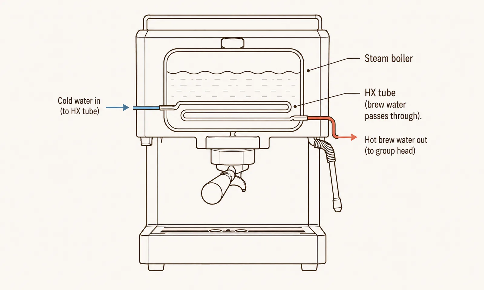 Diagram of a heat exchanger tube inside a steam boiler on an espresso machine